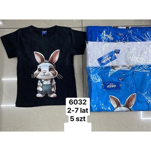 Bluzka chłopięca 2-7 lat