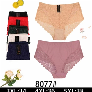 Majtki damskie (3XL-5XL)