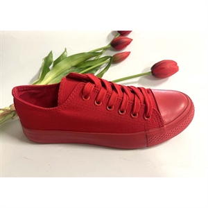Trampki Damskie 36-41