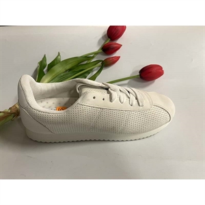 Buty sportowe 36-41