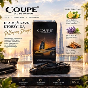 Perfum męskie 100ml