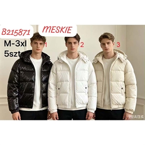 Kurtka męska (M-3XL)