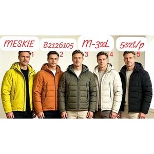 Kurtka męska (M-3XL)