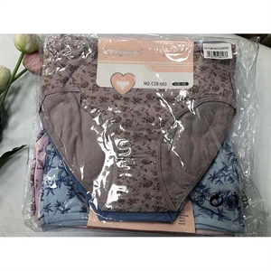 Majtki damskie 2XL-4XL