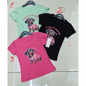 Bluzka dziewczęca  6-16 lat