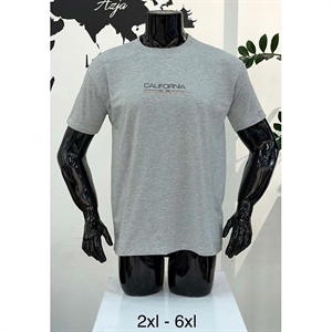 Koszulka męska produkt Turecki 2XL-6XL