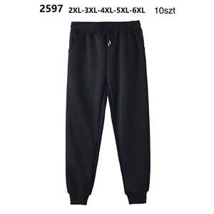 Spodnie dresowe męskie  2XL-6XL