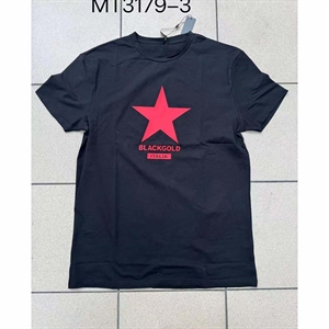 Koszulka męska  M-2XL