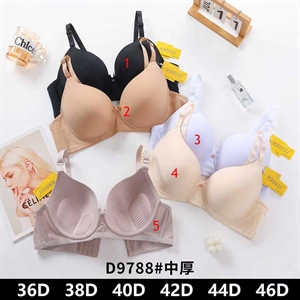 Biustonosz Push up D