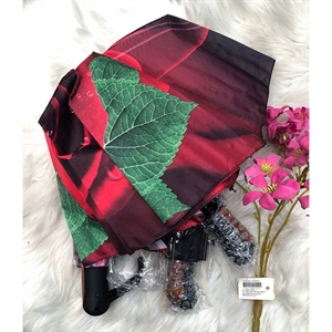 Parasolka