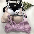 Biustonosz B