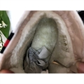 Botki damskie 36-42