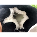 Buty zimowe 31-36