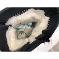Buty zimowe 32-37
